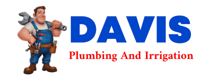 Trusted plumber in NEW ROADS